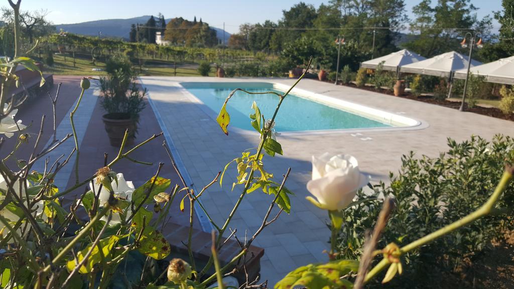 Agriturismo Ai Mandrioli ラストラ・ア・シーニャ エクステリア 写真