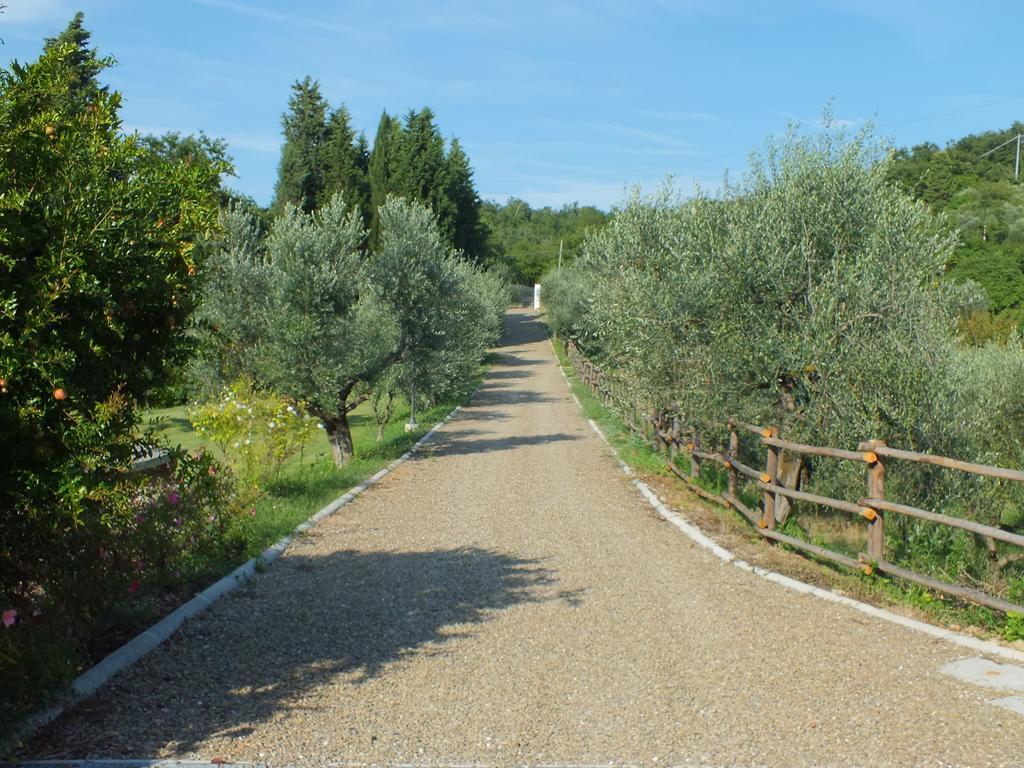 Agriturismo Ai Mandrioli ラストラ・ア・シーニャ エクステリア 写真