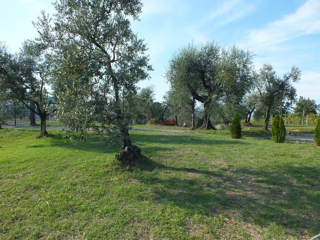 Agriturismo Ai Mandrioli ラストラ・ア・シーニャ エクステリア 写真