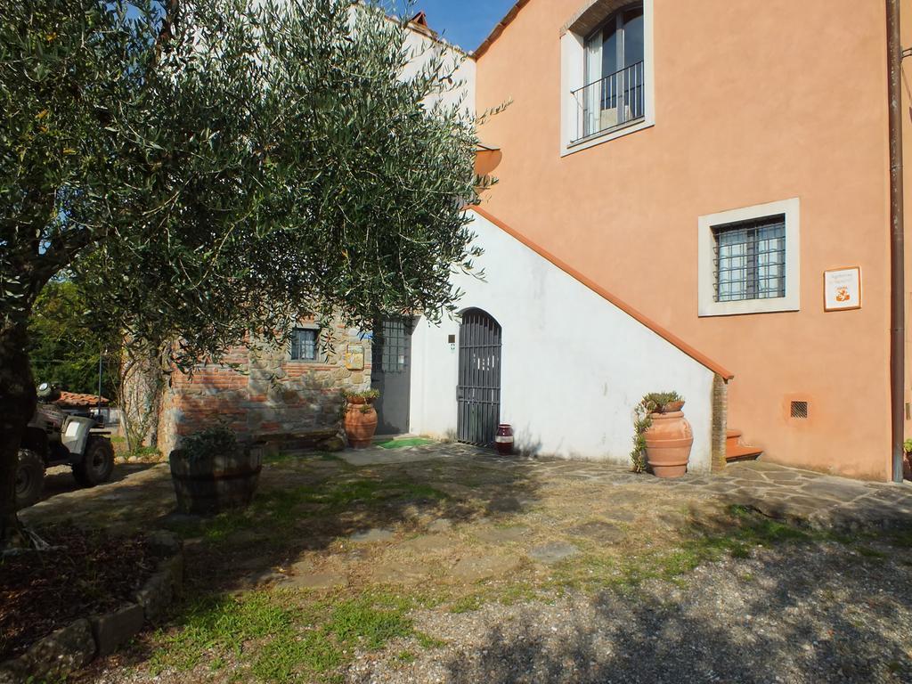 Agriturismo Ai Mandrioli ラストラ・ア・シーニャ エクステリア 写真